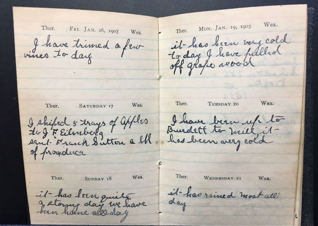Diary pages from Ernest Hatch diary from 1/16-1/21/1903 at Sagamore Farm in Valois, NY
