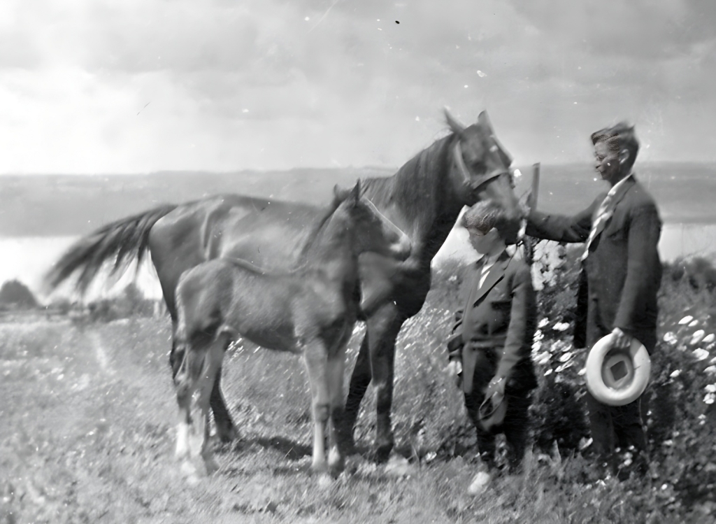 Ernest and Arthur Hatch with horses looking west toward Seneca Lake on the Sagamore Farm in Valois, NY.