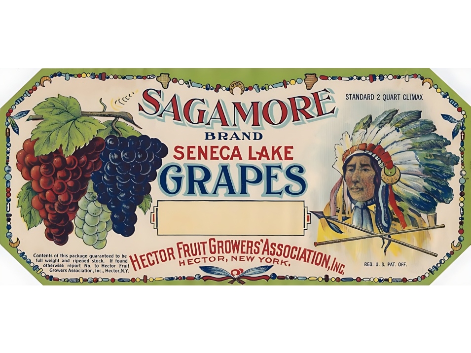 Label used on packing of grapes by farmers who belonged to the Hector Fruit Growers' Association
